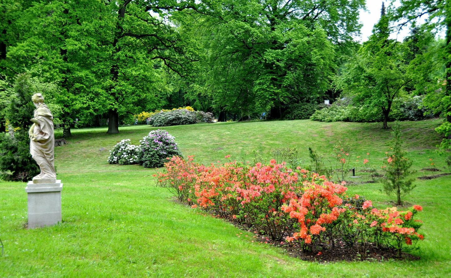 Schlosswiese, Foto: R. Machnikowski / D. Thorausch