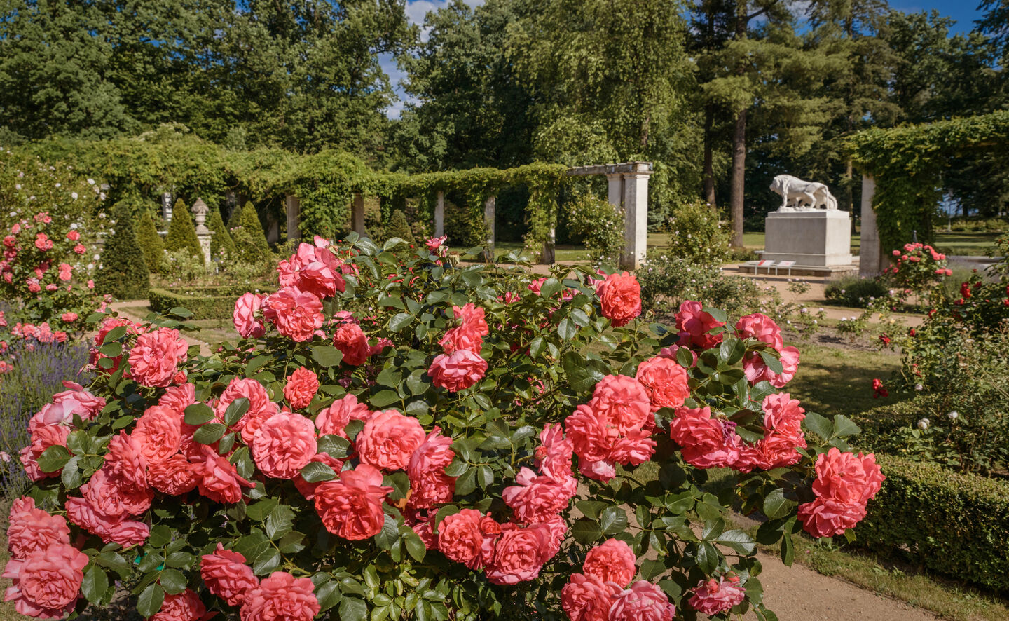 Blick auf die Brunnenanlage &bdquo;Durstige L&ouml;wen&ldquo;, Foto: Rico Hofmann