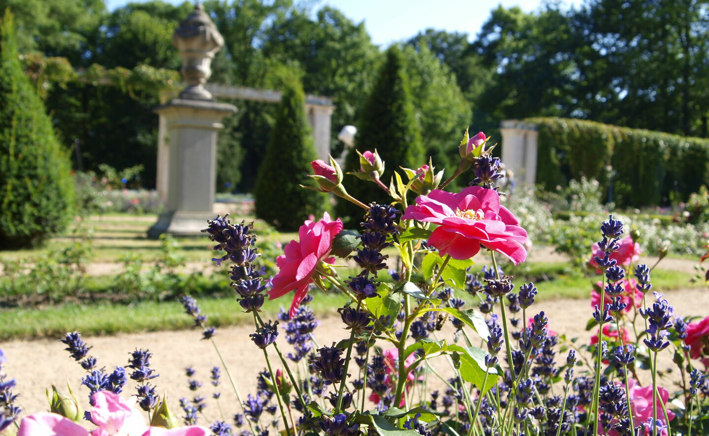 Pergolenhof, Foto: Annette Schild