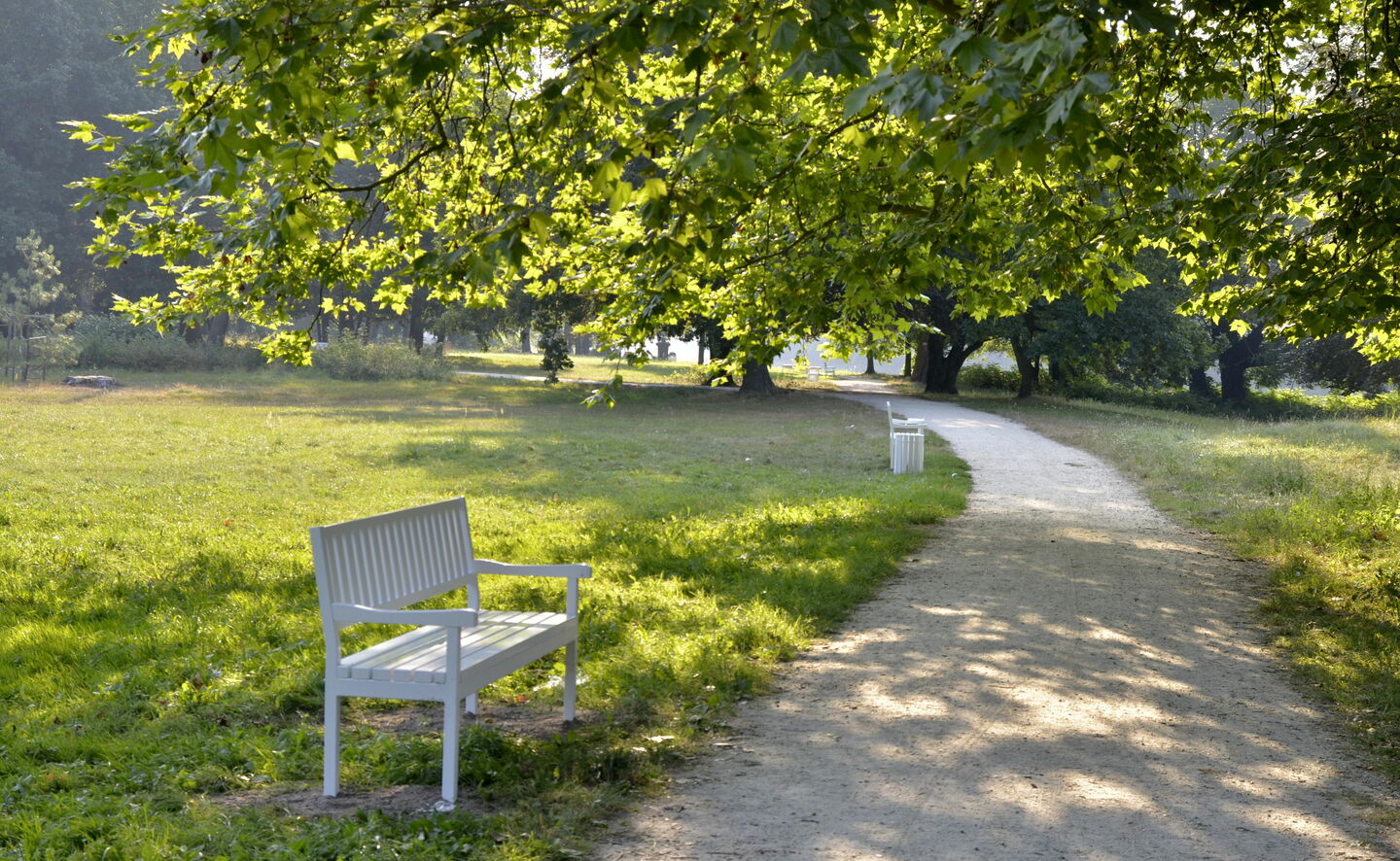 Spazierweg, Foto: Adam Żyworonek
