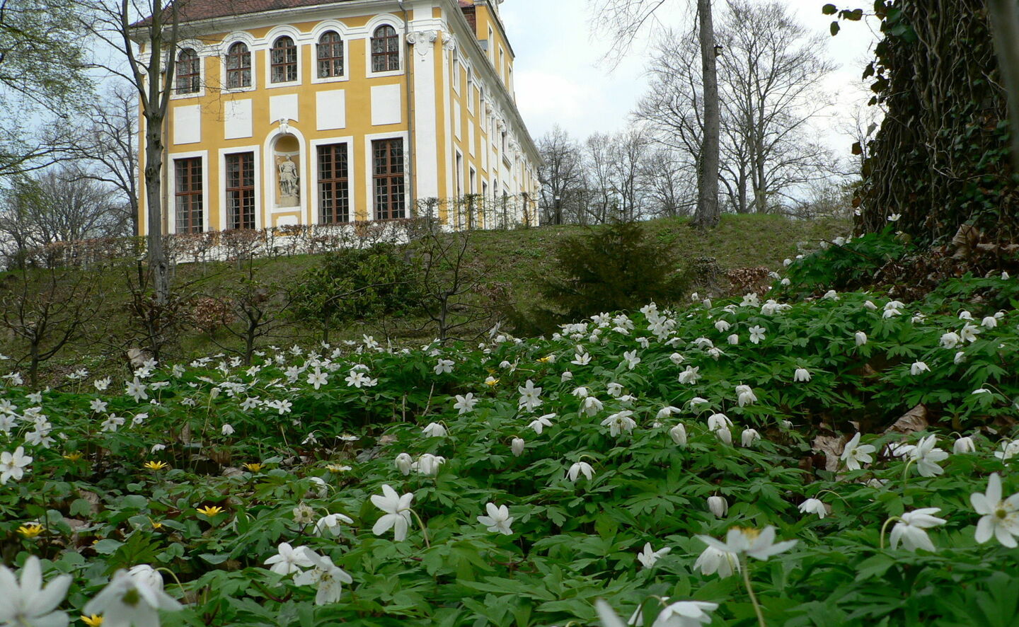 Blick auf die S&uuml;dostfassade mit Adonis, Foto: Gemeindeverwaltung Neschwitz