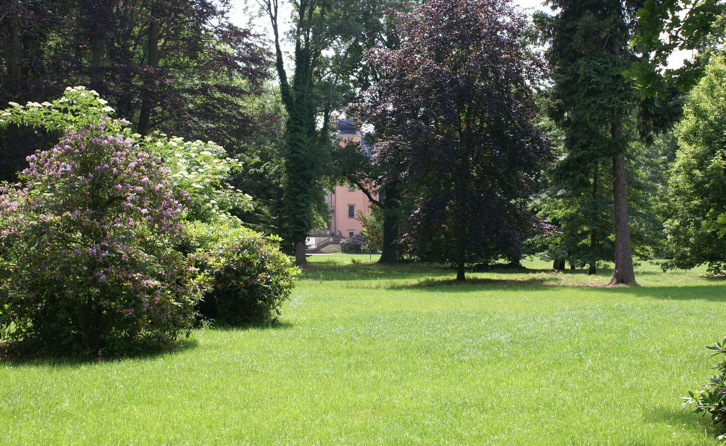 Sichtachse im Schlosspark - Blick auf die Nordseite Schloss, Foto: Boris Aehnelt