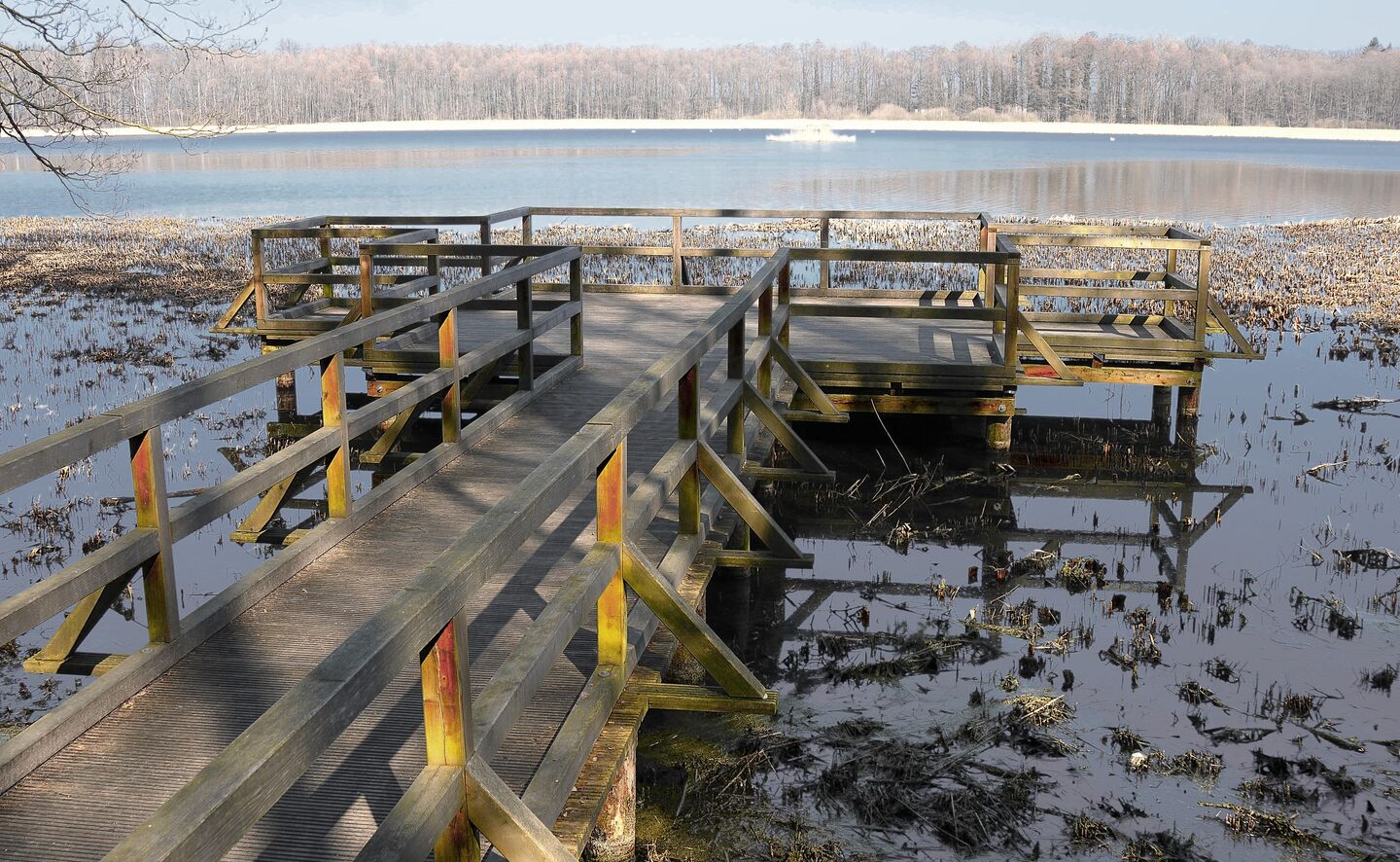 Brodzkie-See, Foto: Krzysztof Kilian