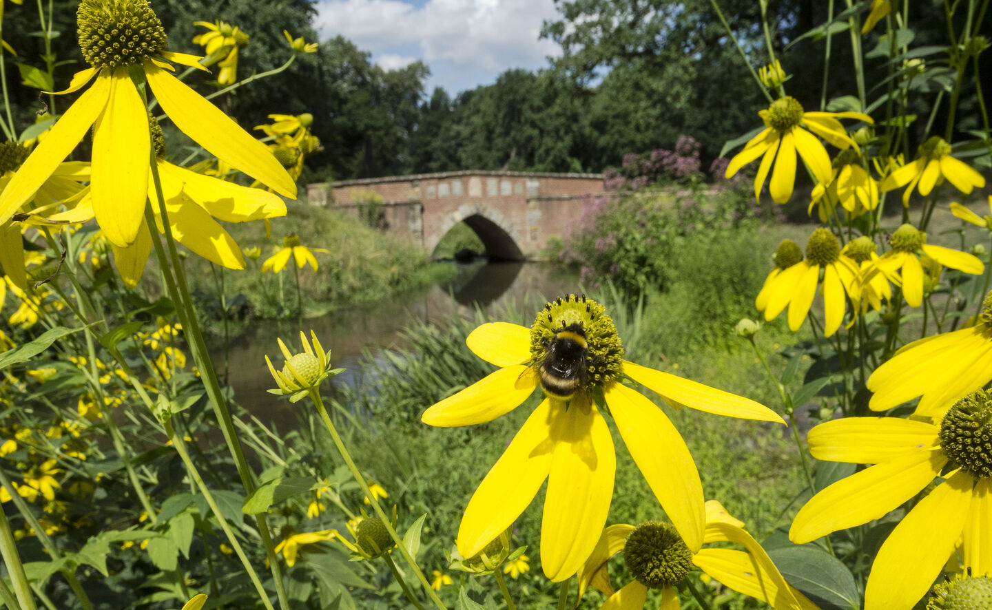 Eichseebr&uuml;cke, Foto: Holger Rothamel