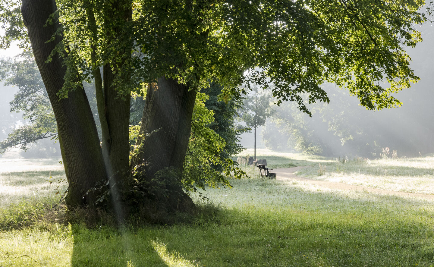 Petzoldweg, Foto: Holger Rothamel