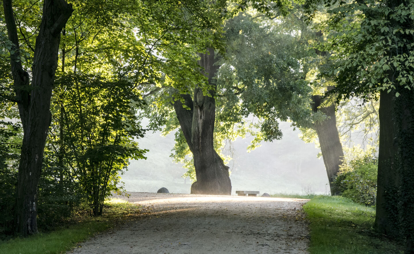 Zur Englischen Br&uuml;cke, Foto: Holger Rothamel