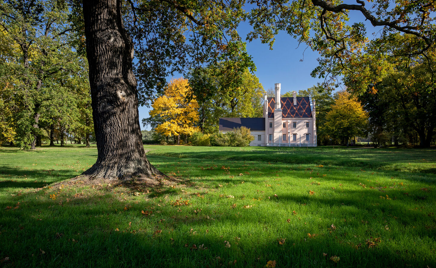 Blick zur Schmiede &uuml;ber die Schmiedewiese