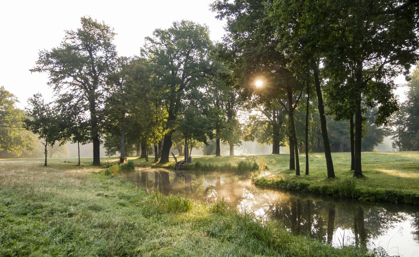 Hermansnei&szlig;e, Foto: Holger Rothamel