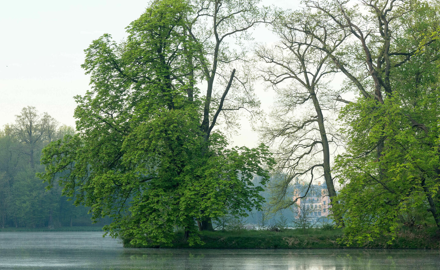 Blick &uuml;ber den Salzteich, &copy; Leo Seidel