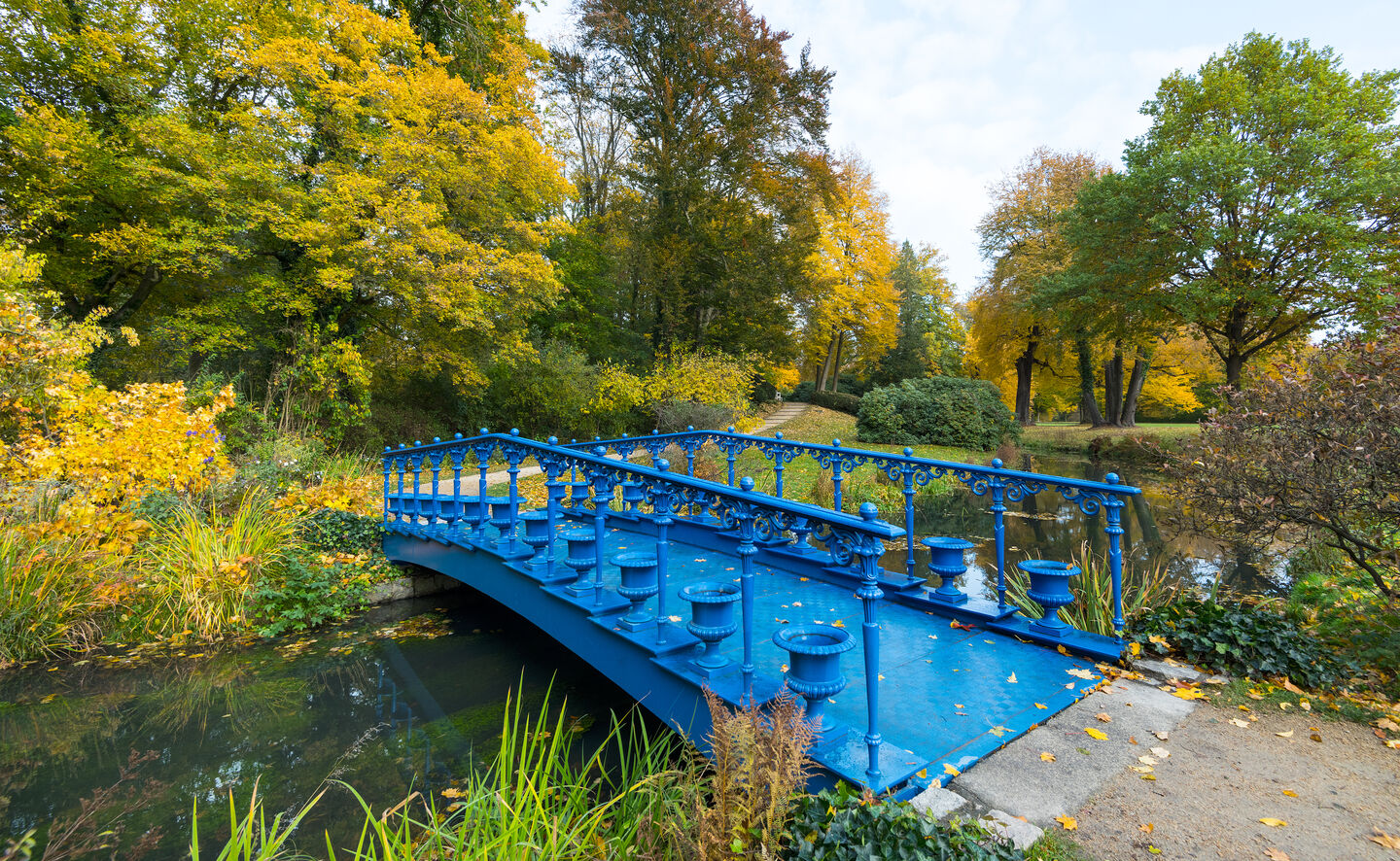 blaue Fuchsienbr&uuml;cke, &copy; Leo Seidel