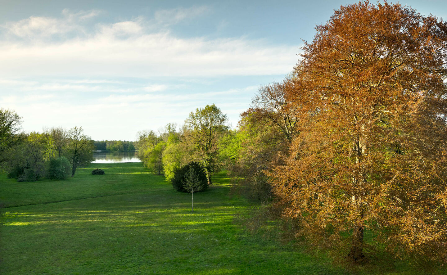 Blick vom Schloss in Richtung Salzteich, &copy; Leo Seidel