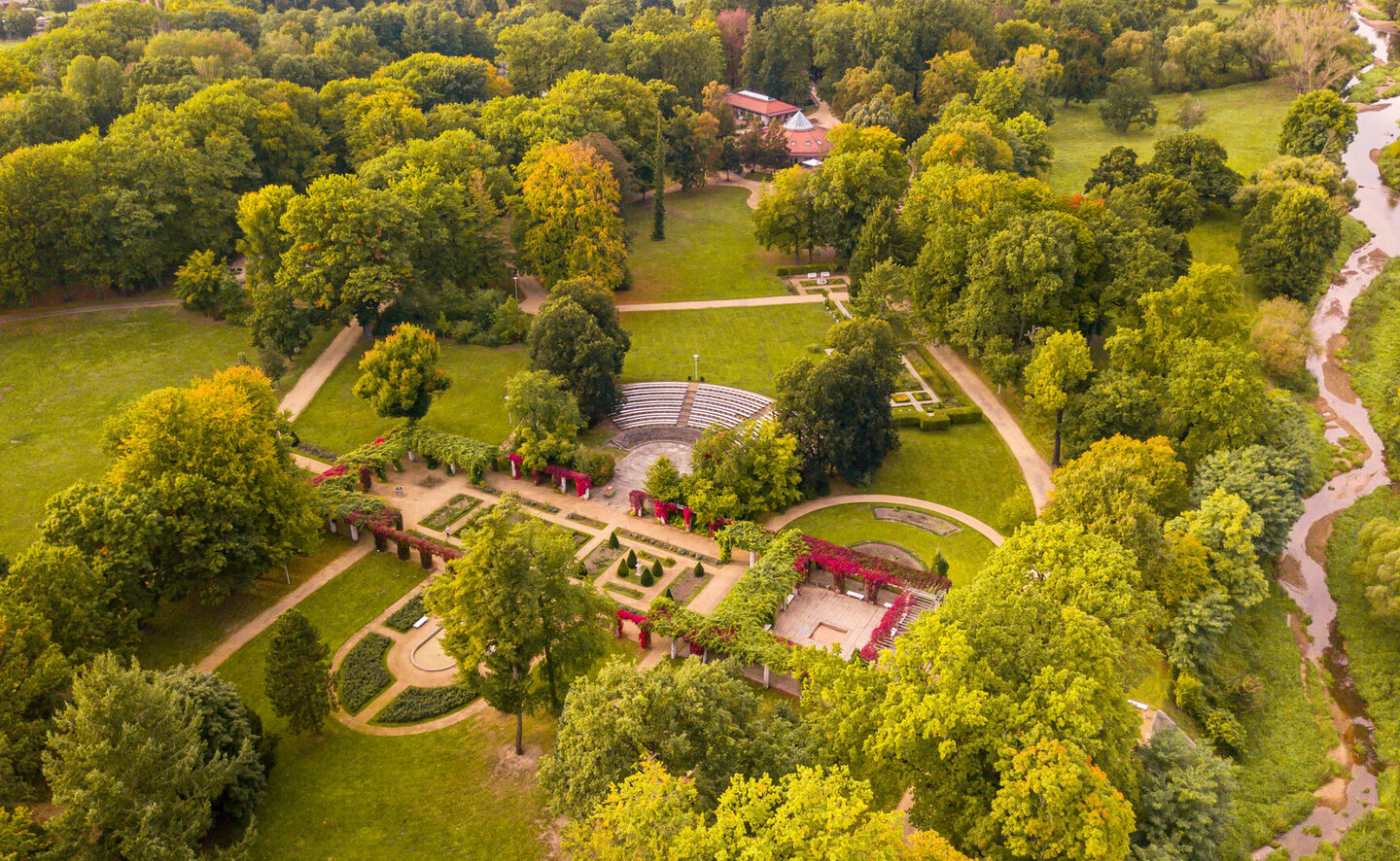 PatLografie - Patrick Lucia