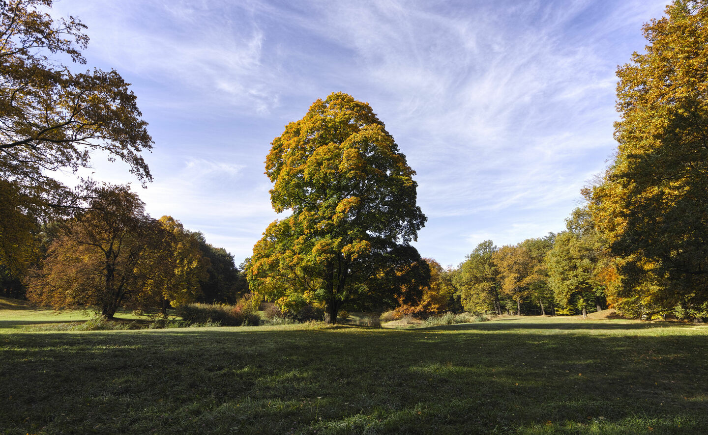 Partie im Branitzer Innenpark, Foto: Hans Bach, Potsdam / SFPM (2013)