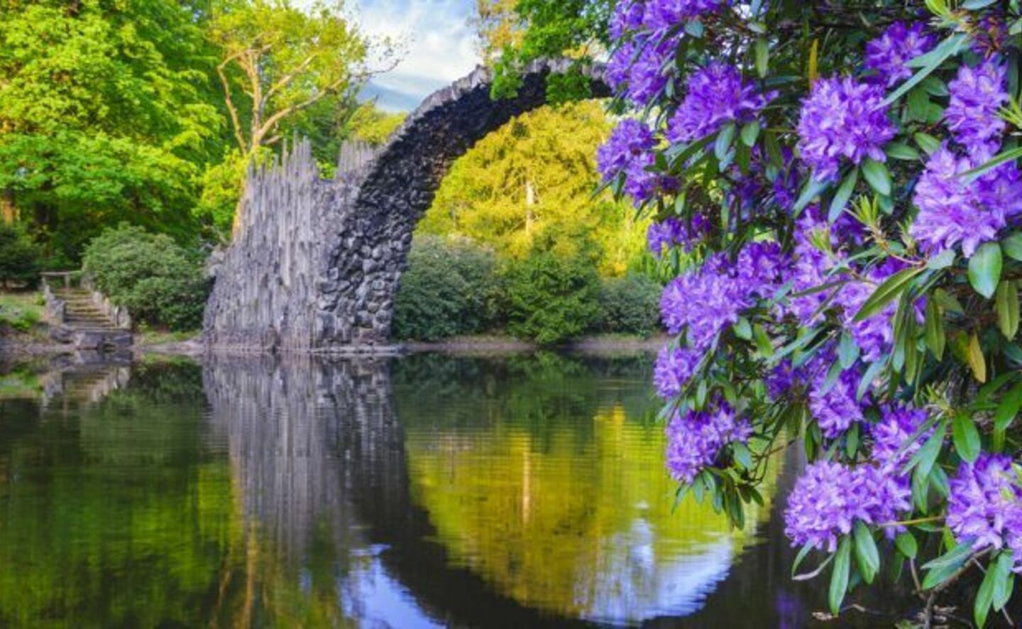 Rhododendronbl&uuml;te an der Rakotzbr&uuml;cke, Foto: R. Machnikowski / D. Thorausch