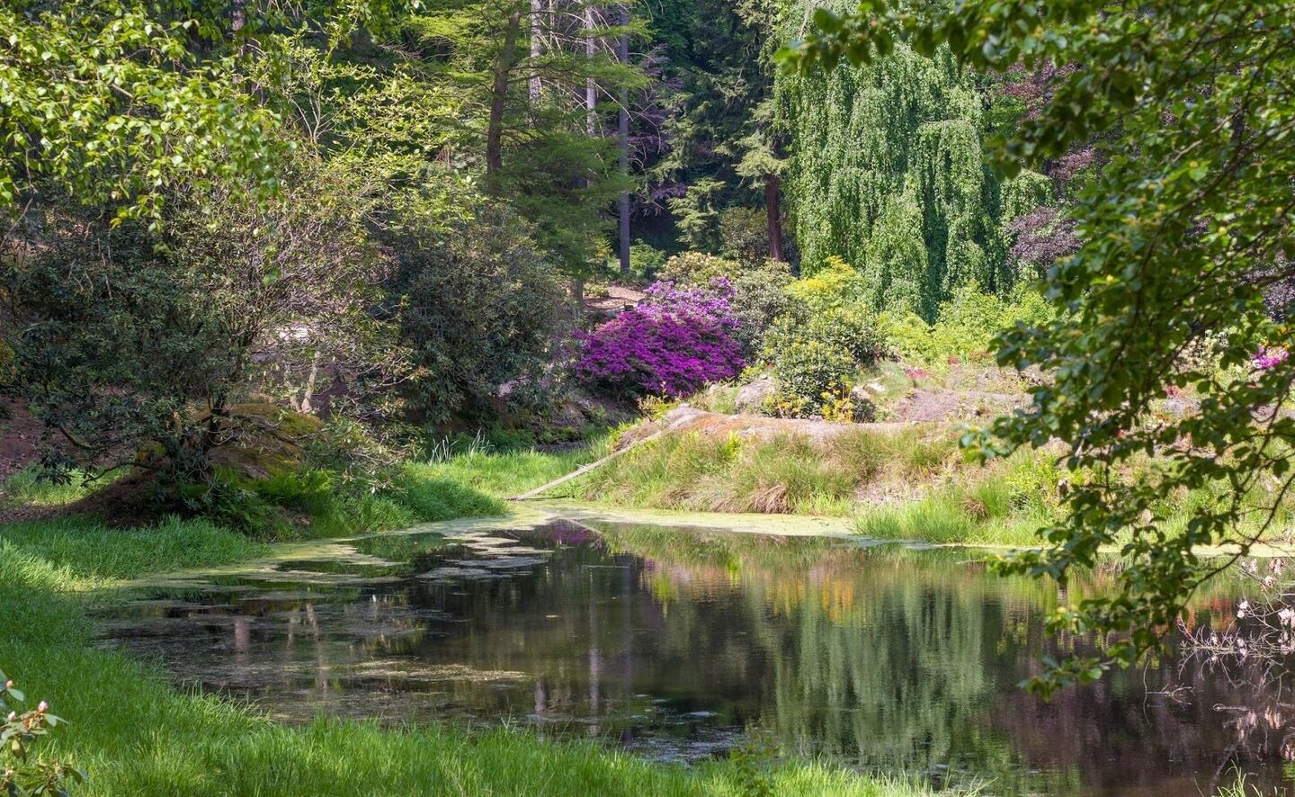Am Inselteich, Foto: R. Machnikowski / D. Thorausch